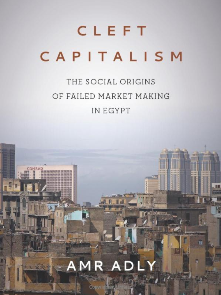 Cleft Capitalism Book Cover