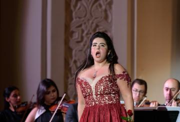 Gala EL Hadidi