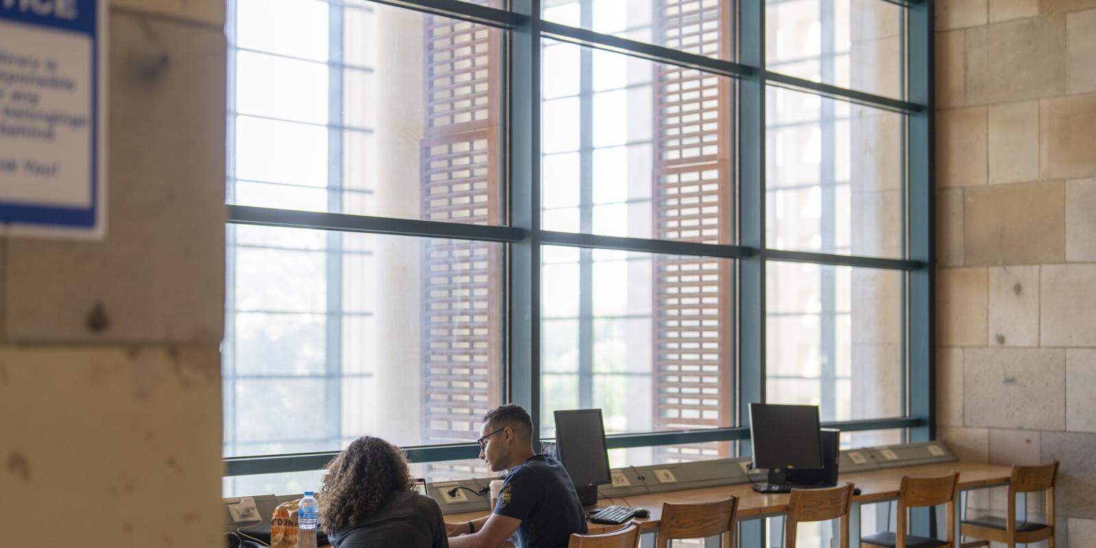 students working in a libarary