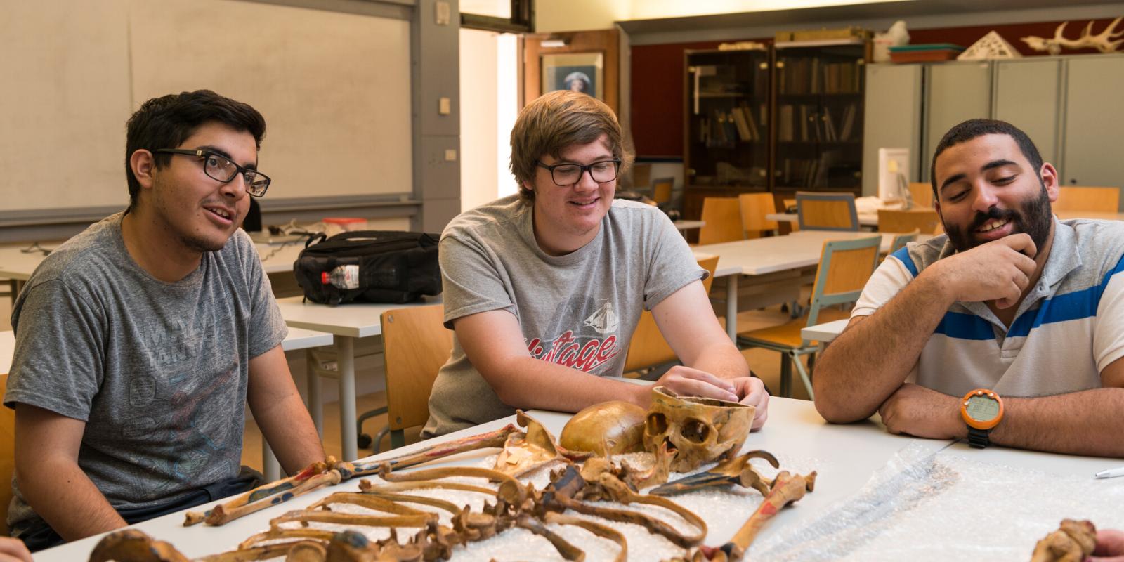 students in egyptology lab looking at bones