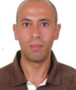 Walid El hamamsy