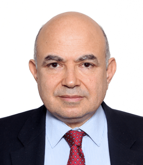 Walid Mahmoud Abdelnasser