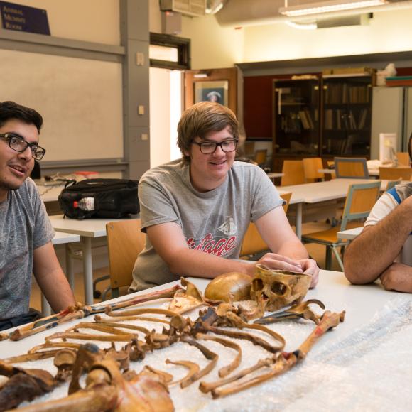 students in egyptology lab looking at bones